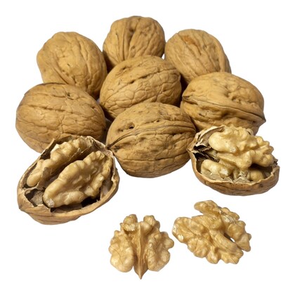 Walnut Shell